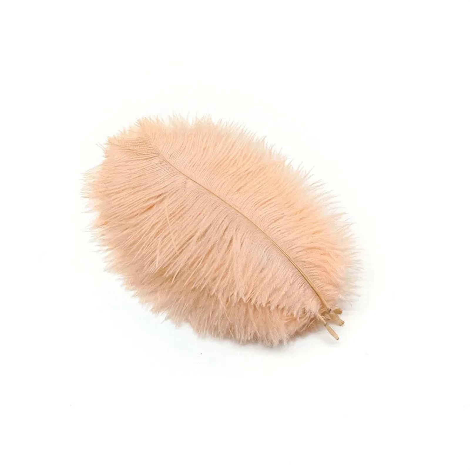 Ostrich Feathers 10Pcs Ostrich Feathers for Jewelry Making Plume DIY Dream Catcher Decorations Vase Needlework Craft Supplies Wedding Accessories(Champagne Feathers)