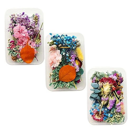 Flores Secas MAGICLULU para Decoración y Manualidades miniatura 1