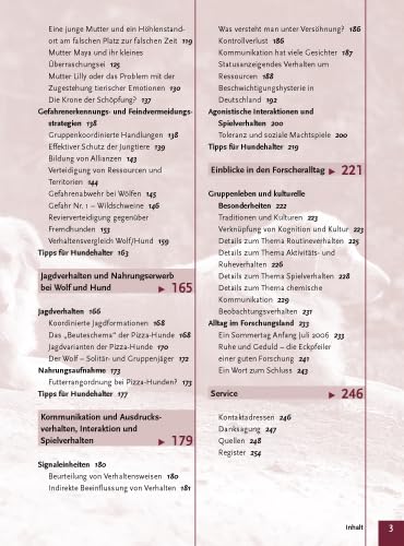 Die Pizza-Hunde