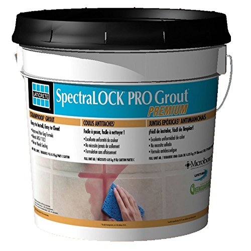 SpectraLOCK Pro Premium Grout AB Full Unit / Requires 9