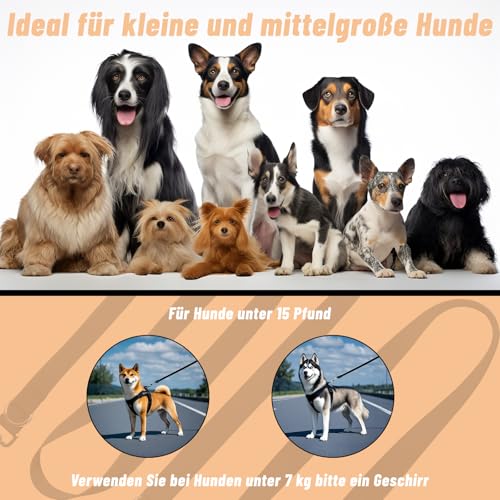 Hundeleine 3m Schleppleine Verstellbare Doppelleine Leichte für Kleine Mittelgroße Hunde mit 2 Karabiner für Training Outdoor Aktivitäten Schwarz