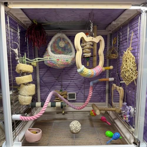 Image of Gradient Large Wooden Bird Swing with Colorful Cotton Rope for Bird Cages - Natural Hanging Toy for Medium-Large Birds Like Parrots Macaws Cockatoos African Greys