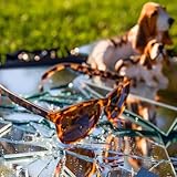 Zoom IMG-2 goodr bosley s basset hound Zoom IMG-2 goodr bosley s basset hound