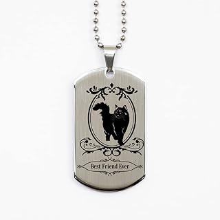 Cat Lover Necklace | Loss Cat, Best Friend Ever | Christmas for her, Birthday for Cat Owner, Grieving Friends, Cat Silver Dog Tag, Bling for Women