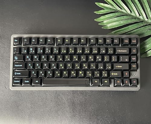 Womier キーキャップ チェリープロファイル ダブルショット PBT 115キー 日本語配列 MXスイッチ対応 メカニカルゲーミングキーボード向け