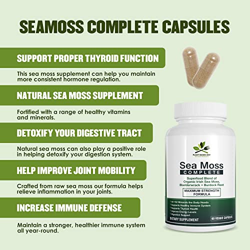 Plant Based Jeff Wildcrafted Sea Moss Capsules, 60 Count, Immune Defense Supplement And Natural Superfood With Vitamins A, B, C, D, E, And K, Supports Thyroid Function And Joint Health (1 Bottle) #TOP4