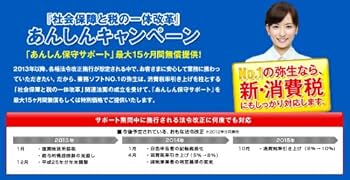 Amazon | 【旧商品】弥生会計 13 プロフェッショナル 2ユーザー