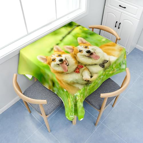Tizhweqo Mantel Mesa Rectangular Corgi, Manteles Antimanchas Perro, 3D Impresión Mantel Impermeable Lavable para Cocina Salón Comedor, 140x250 cm Q.P2158