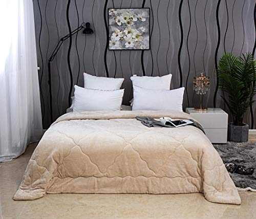 QZY - Edredón con forro polar de franela (200 x 200 cm, microfibra con peso aproximado de 2000 g), color beige