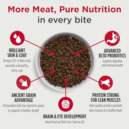Image of Nulo Frontrunner Puppy Food - High-Protein Chicken, Oats & Turkey Recipe Kibble, Natural Dry Dog Food with DHA, Ancient Grains, Probiotics, Taurine, Omega 3 for Small, Medium & Large Breeds, 25lb Bag