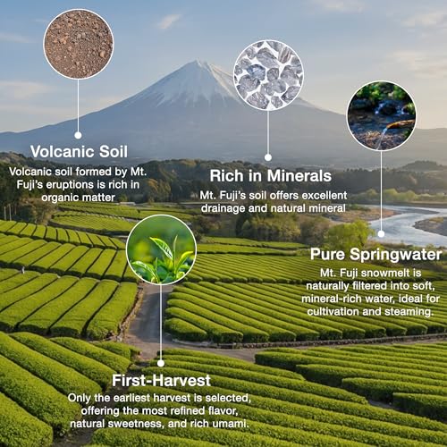 Té verde en polvo matcha ceremonial 100g miniatura 4