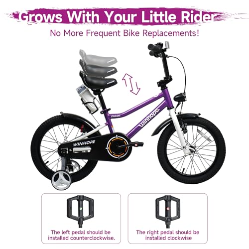 Image of WinHope Kids Bike with Headlight, 12-20 Inch Pedal Bike for 2-12 Boys Girls | Steel Frame with Training Wheels Water Bottle | Dual Brake for Summer Outdoor Riding | Birthday Gift for Toddlers
