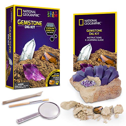 Science4you Tricératops Excavations Fossiles - Jouet Scientifique, Dinosaures, 10 Pièces Et Livre éducatif Multilingue, Cadeau Idéal Pour Les Enfants De 6 7 8 Ans