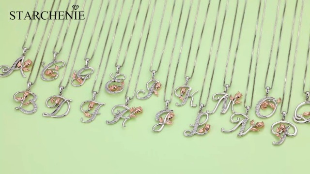 ❤︎❤︎❤︎ Amazon.com: STARCHENIE Initial Necklace for Women Sterling