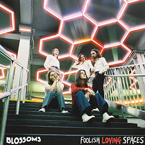 Foolish Loving Spaces [Vinilo]