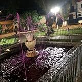 Flacodagod