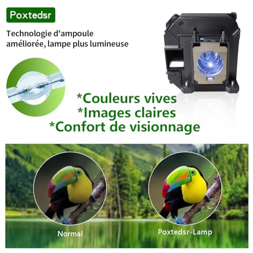 Poxtedsr Replacement Projector Bulb Lamp Compatible with Epson V13H010L61 eb-2020 eb-2060 eb-420 eb-421i eb-425w eb-426wi eb-905 eb-93 eb-93e eb-93h eb-95 eb-96w eb-430 eb-430lw eb-431i - Image 4