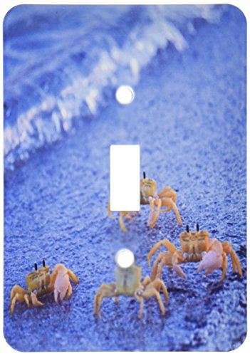 Interrupteur à baïonnette 3dRose lsp_46261_1 motif crabes jaunes d'Australie