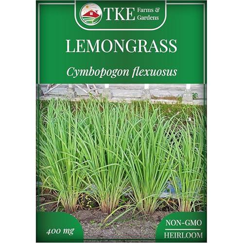 TKE Farms & Gardens - Lemongrass Seeds for Planting Over 750 Non-GMO Seeds Grow Indoors & Outdoors for Fresh Herbs Year Round Easy-to-Grow Aromatic Herb for Cooking Teas & Wellness
