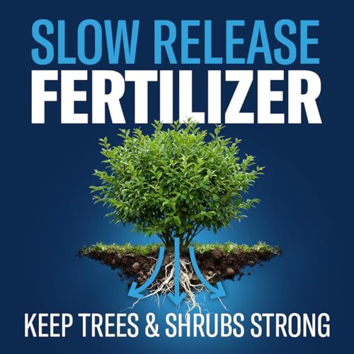Image of BioAdvanced 12 Month Tree & Shrub Protect and Feed Concentrate - Mix & Pour - Insect Control and Plant Food - Up to 12 Months Protection - 1 gal Bottle