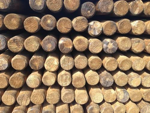 20 Pali In Legno Per Alberi Da Giardino | Tutor Con Punta 150cm Ø4cm | Trattati Autoclave - Foto 3