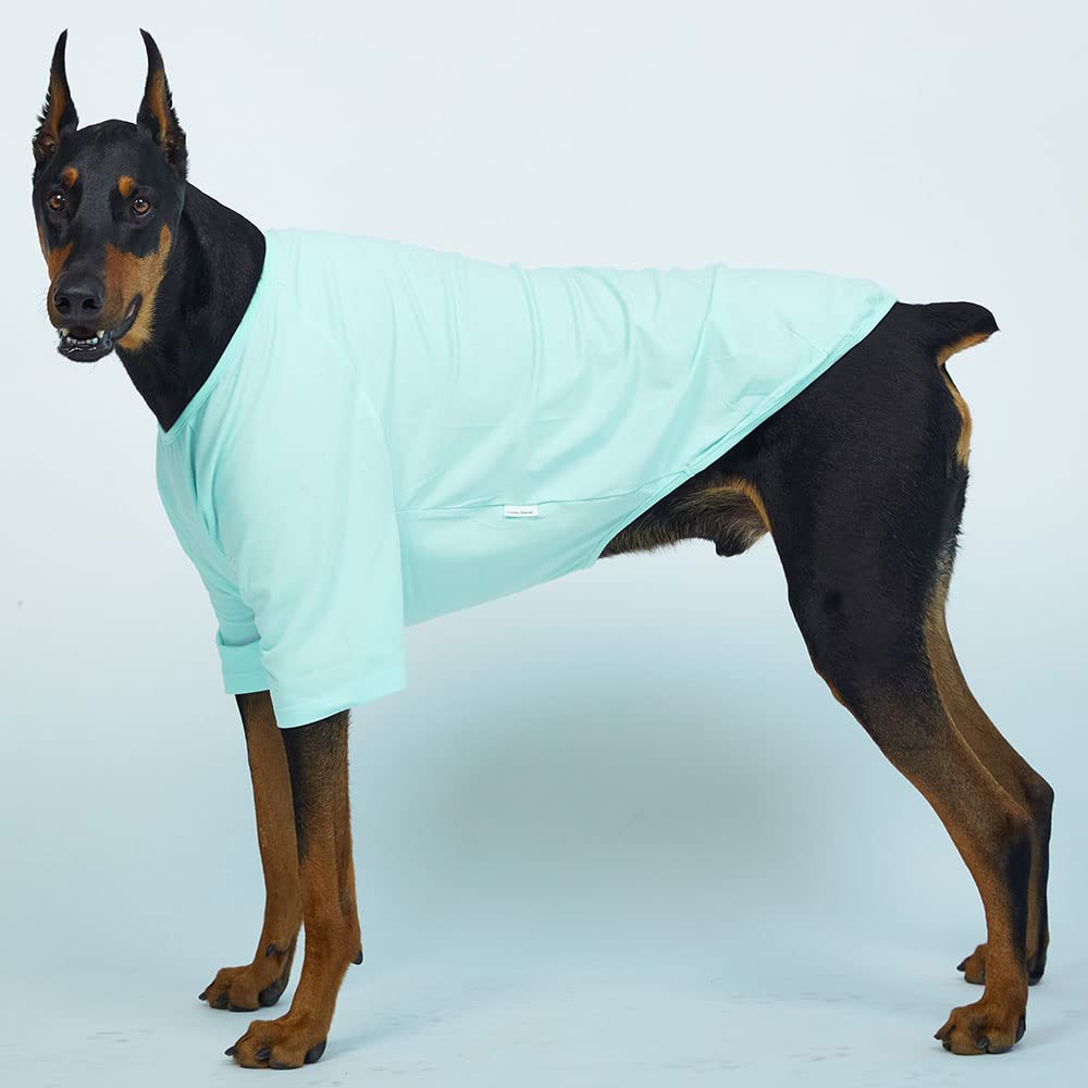 Camisa de perro para perros pequeños, camisetas lisas suaves y transpirables para perros, ropa para mascotas (2XL, menta)