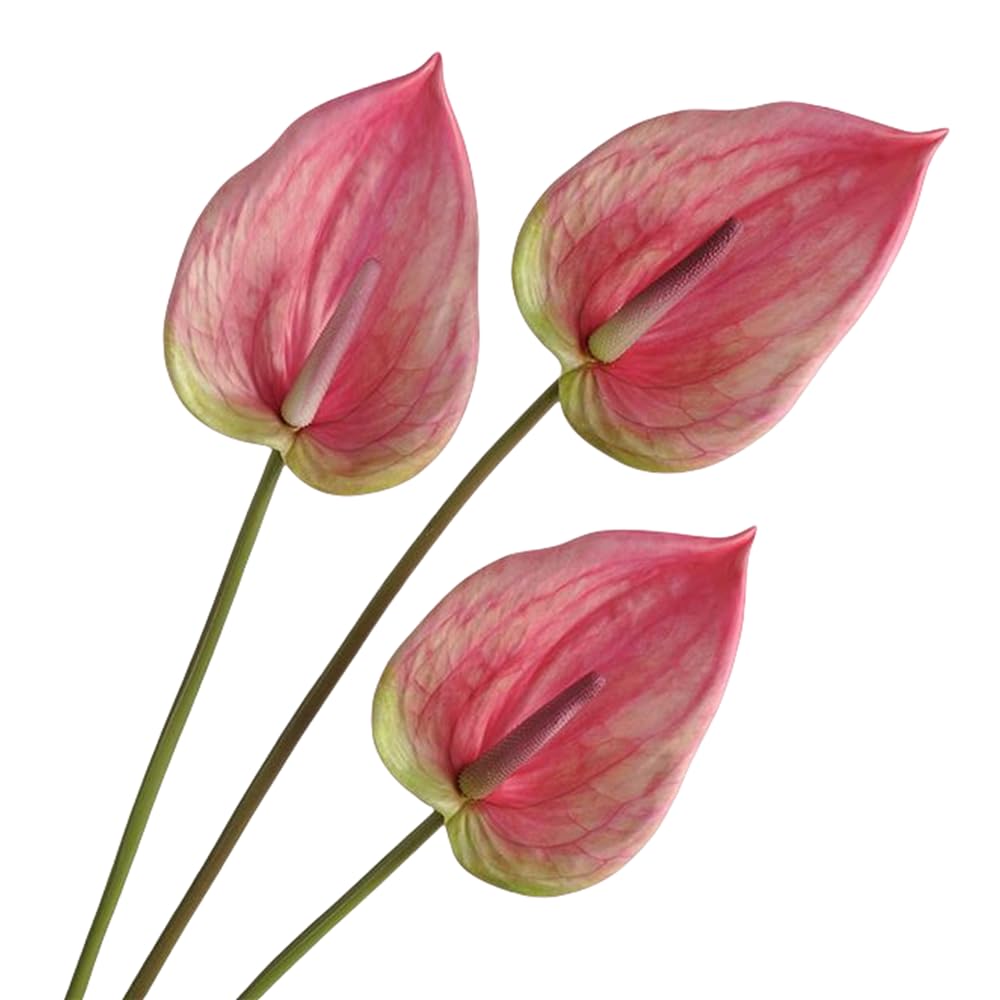Corkwaw 3Pcs Artificial Anthurium Lily Flowers for Home Decor Dining Table Centerpiece Prom Party Decor, 33 Inches, Pink