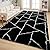 FALARK Fluffy Area Rugs for Living Room Bedroom, Modern Geometric 4x6 Feet Black Rug, Soft Plush Shaggy Fuzzy Floor Bedside Carpet for Nursery Kids Girls Boys Teen Dorm Home Office Decor