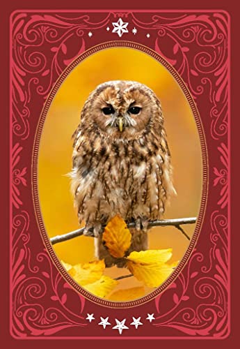 Les messages des oiseaux: symboliques, oracles, énergies