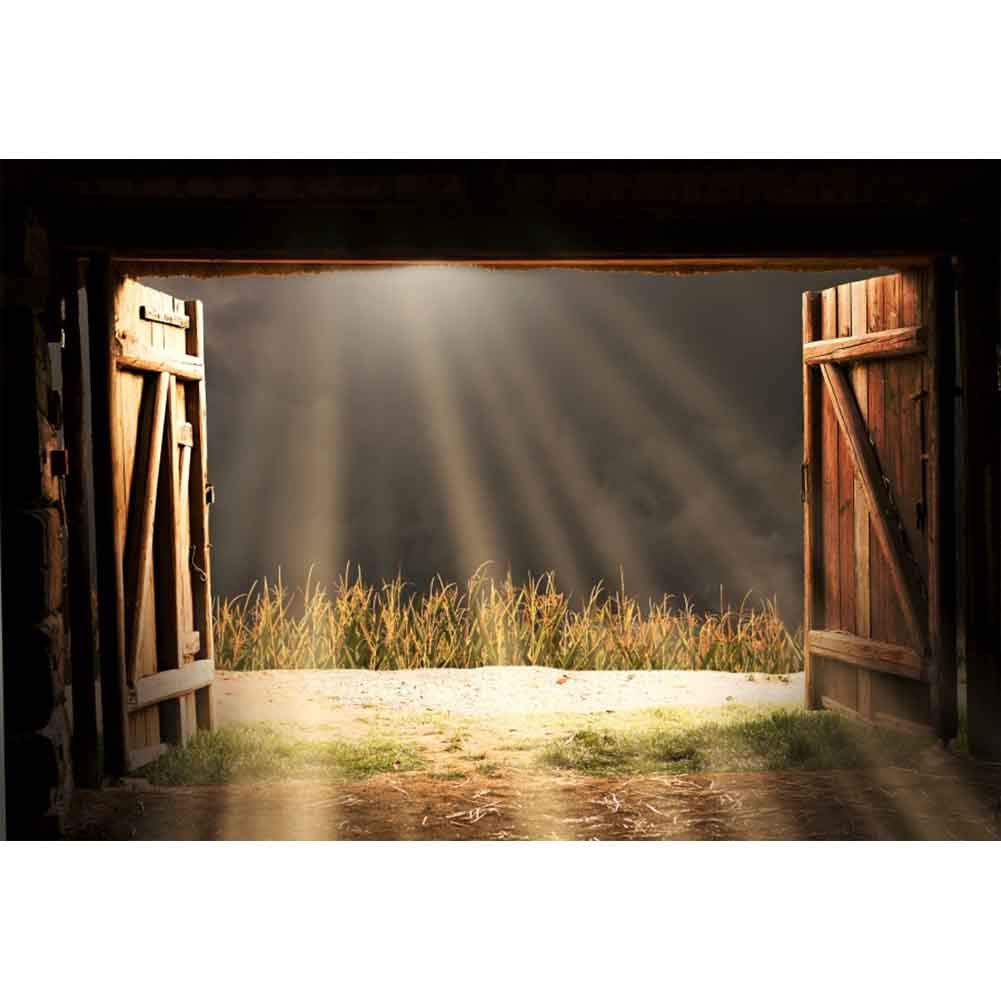 Haoyiyi 10x6.5ft Rustic Western Cowboy Barn Backdrop Wild West Country Wooden Door Sunshine Background Photography Kids Newborn Adults Wedding Birthday Bridal Baby Shower Decor Photo Studio Props