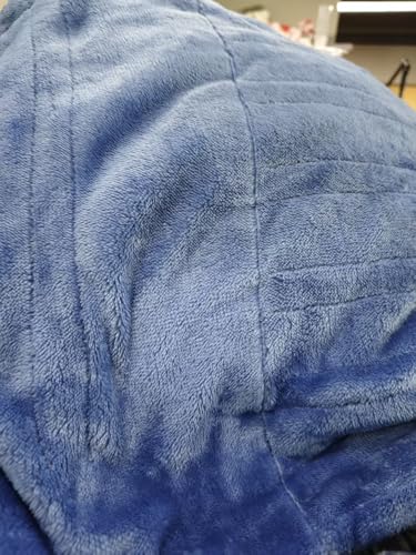 Electric Heated Blanket, Full Size 72x84 Comfort Soft Long Hair Double with Chunky Controller, Light Gray & 10H Auto-Off