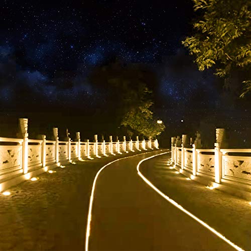 Solar Rope Light 33FT 100L Waterproof Outdoor String Tube Light for Party Garden Yard Home Decreation (Warm White 33FT 100L)