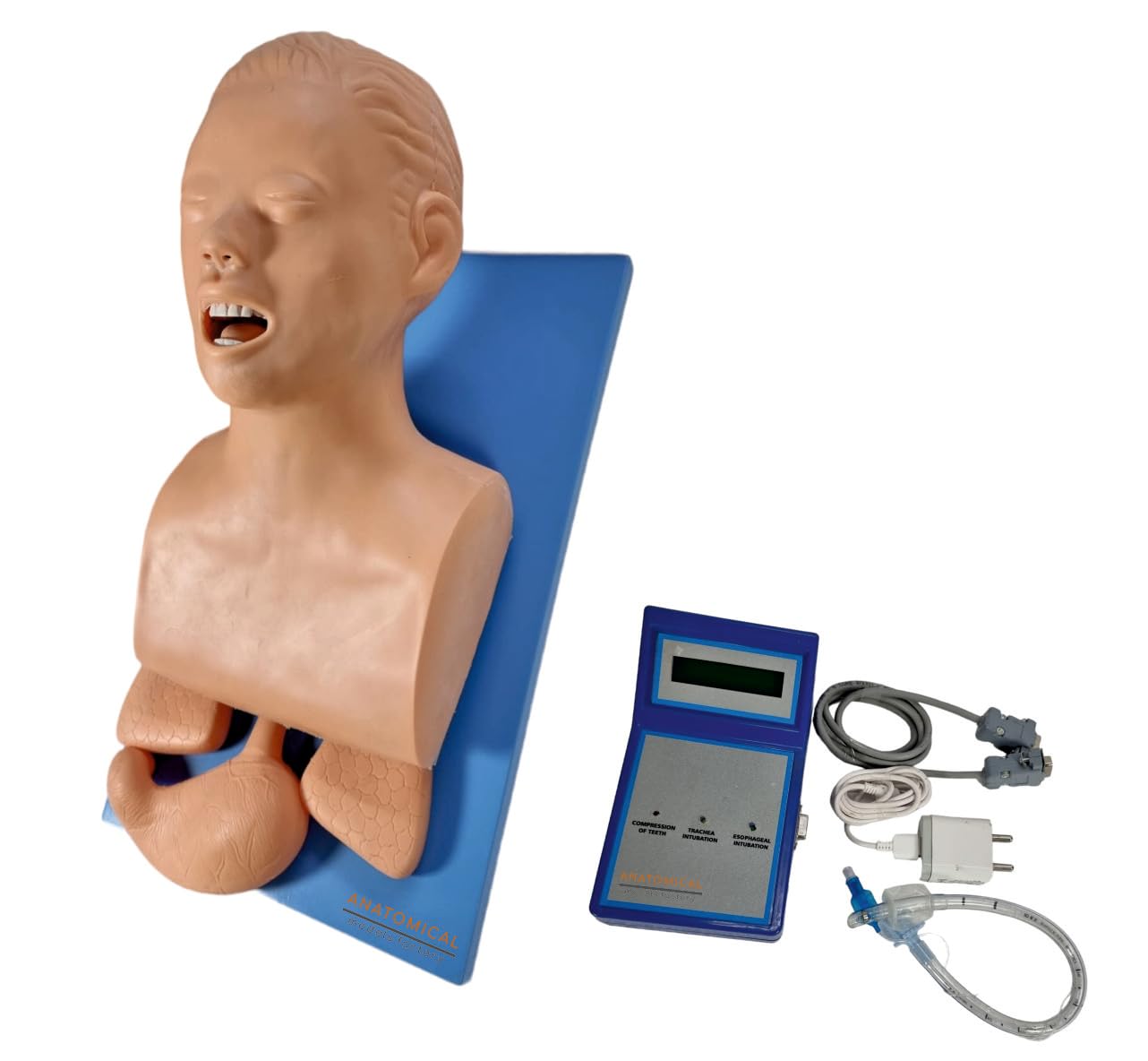 Buy Anatomical Models Factory Intubation Manikin Teaching Model