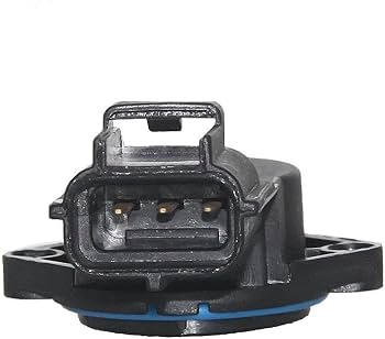 51lhIl6vYOL._AC_UF350,