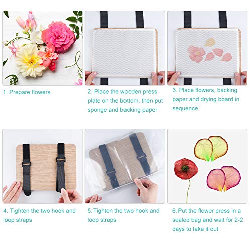 Miahart, kit per pressa per fiori e frutta, 15,2 x...