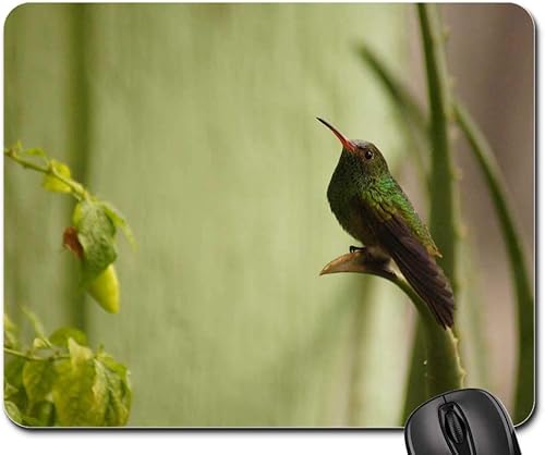 Mouse Pad - Birds Fauna Nature Armenia Quindio Colombia 1