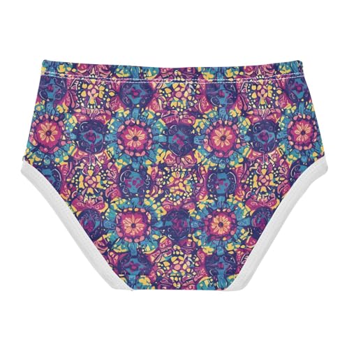ZZKKO Vintage Purple Floral Girls Underwear Toddler Panties for Girls Comfort Brief Size 2-8T2
