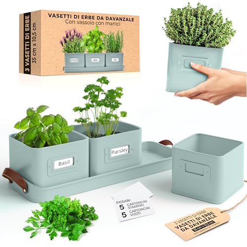 Green Thumbz Macetas Decorativas Interior