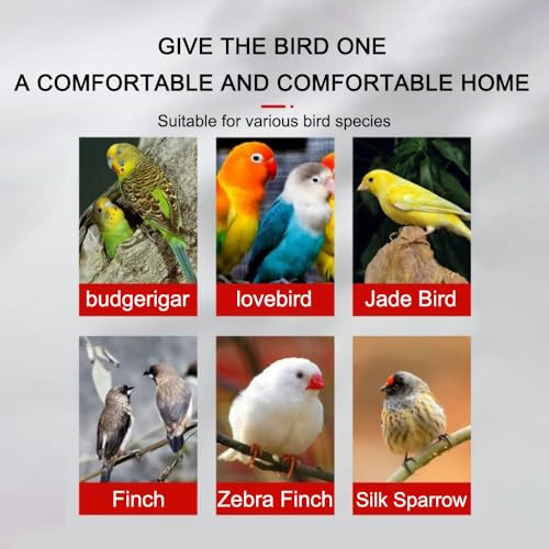 Image of Bird Playground,Equipped with Detachable Tray and Feeding Cup,Parakeet Playground,Great Friction for The Health of Birds,Bird Perch Stand