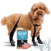 Walkee paws new deluxe easy on dog suspender boot leggings plus chest strap waterproof booties for small dogs and medium sized dogs protect paws from rain snow and snow melt xs short black  urban country home decor