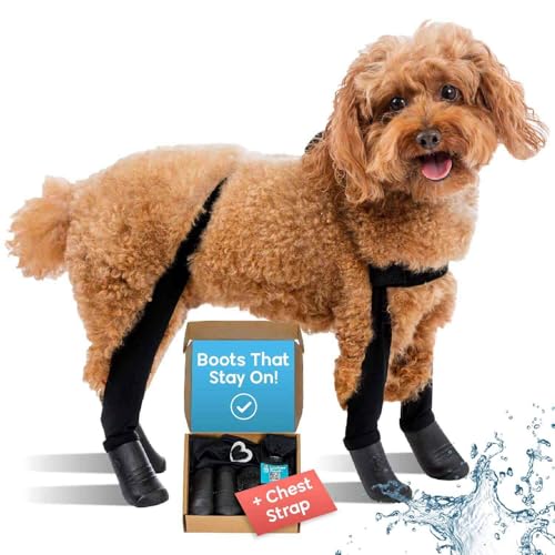 Walkeepawsnewdeluxeeasyondogsuspenderbootleggingspluscheststrapwaterproofbootiesforsmalldogsandmediumsizeddogsprotectpawsfromrainsnowandsnowmeltxsshortblack Urban Country Home Decor Walkee paws new deluxe easy on dog suspender boot leggings plus chest strap waterproof booties for small dogs and medium sized dogs protect paws from rain snow and snow melt xs short black urban country home decor