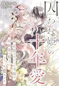 囚われ姫の十年愛～記憶をなくした令嬢は幼馴染の騎士にもう一度恋をする～ (夢中文庫セレナイト)