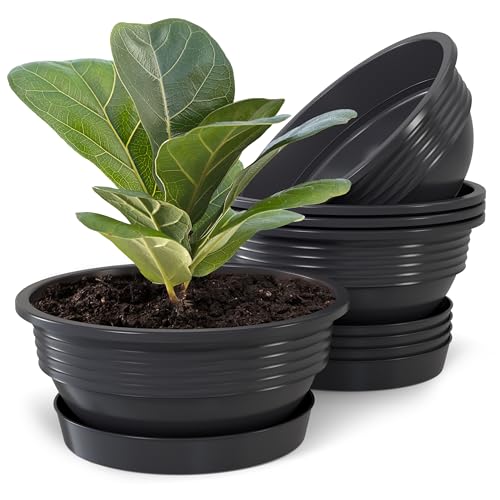 Plastard Pflanzschale mit Untersetzer im 5er Set in Anthrazit 32 cm Durchmesser große runde Blumenschalen aus Kunststoff für Garten Terrasse Wohnung für Aussen und Innen Schalen Pflanztopf