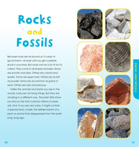 A Walk in the Woods: Into the Field Guide - Image 9