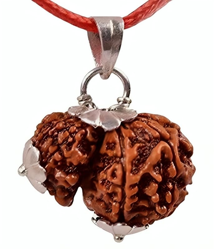 Natral Garbh Gauri Rudraksha-image-27