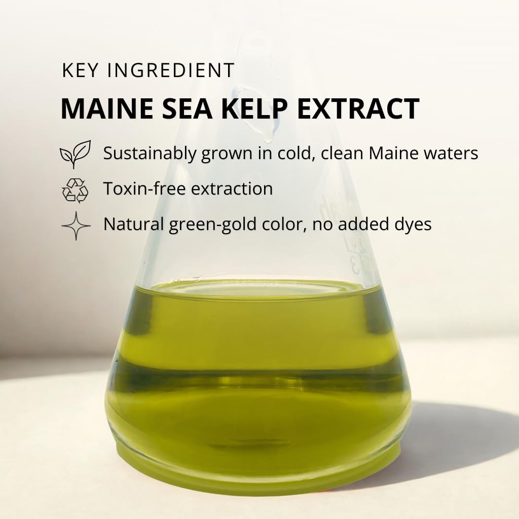 KelpGlow Facial Oil with Kelp Extract - Fragrance Free - Nourishing Face Oil for Glowing Skin - Clean & Natural Ingredients, Non-Greasy Formula - 30ml/1oz - Image 3
