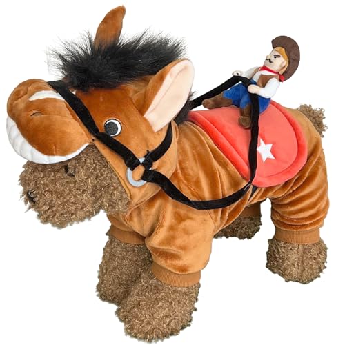  fBIp[X  z[X n  Ȃ I[C x ߔN ^ ^  E} p[eB[LOʐ^BeɁII (5)