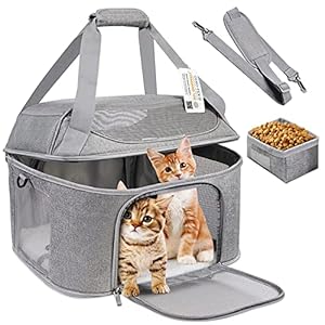 Large Cat Carrier for 2 Cats, Soft Side Pet Carrier for Cats Small Dog, Collapsible Travel Dog Carrier Bag, OEKO-TEX Certified TSA Airline Approved Cat Carrier Backpack for Cats 20 lbs (Gray)