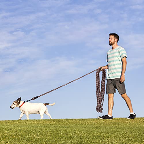 Image of Long Dog Leash for Training 30Ft-Reflective Nylon Rope with Swivel Hook-Recall Agility Lead for Large Small Medium Dogs Outside Walking Hiking-Brown Diam 1 /2 inch