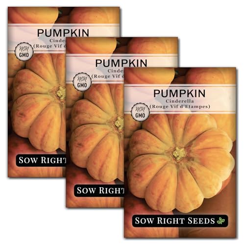 Sow Right Seeds - Cinderella Pumpkin Seeds for Planting - Non-GMO Heirloom Packet to Plant an Outdoor Home Vegetable Garden - Fast Growing Red Orange Fairytale Coach Variety - Rouge VIF d’Etampes (3)